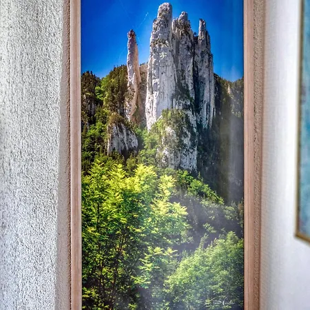 La Maison Du Nizier - - Calme Villa *